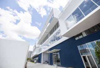 无锡花旗松木板多少钱