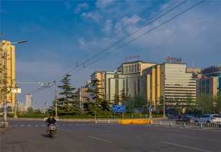 上海适用性广海藻肥抗碱