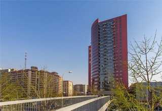 广东DJX黑白反射膜厂家批发价