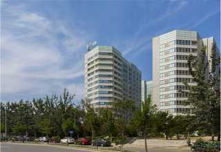 环氧自流平彩砂地坪厂家有哪些